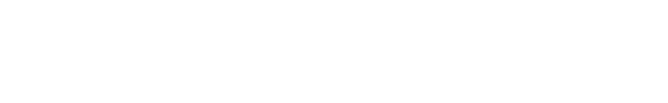 Fast Visure