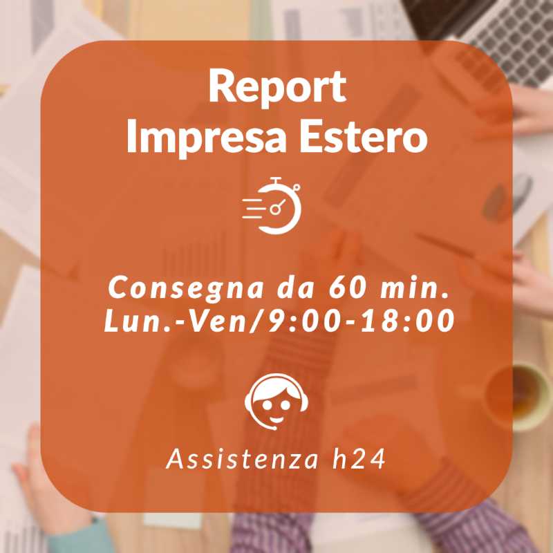 Informe de empresa extranjera 